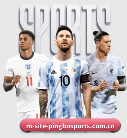 五大服务分区,信息按项目分类